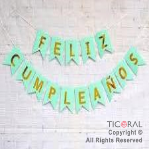 BANDERIN FELIZ CUMPLEAOS PARTY VERDE PASTEL CON STAMPING x 1